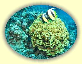 20100922_001 * 2167 x 1627 * (2.85MB)