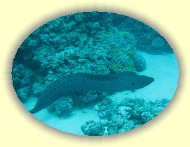 20100922_002 * 2723 x 2036 * (2.69MB)