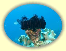 20100922_005 * 3072 x 2304 * (2.26MB)