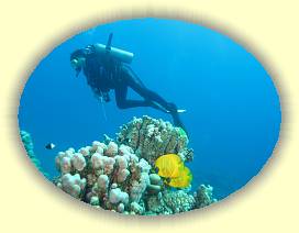 20100922_006 * 3072 x 2304 * (2.3MB)