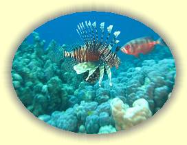 20100922_008 * 3072 x 2304 * (2.44MB)