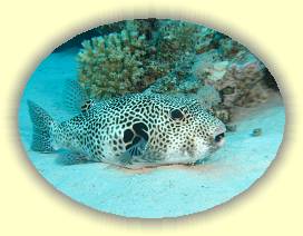 20100922_009 * 2588 x 1943 * (2.98MB)