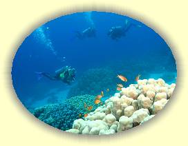 20100922_011 * 3072 x 2304 * (2.37MB)