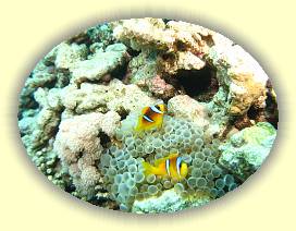 20100922_012 * 3072 x 2304 * (3.26MB)