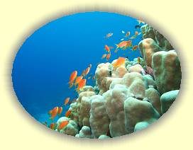 20100922_013 * 3072 x 2304 * (3.01MB)