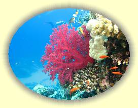 20100922_015 * 3072 x 2304 * (3.33MB)