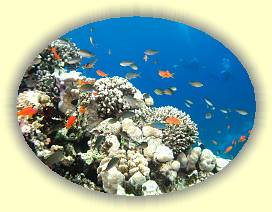 20100922_017 * 3072 x 2304 * (2.99MB)