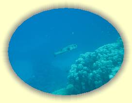 20100922_018 * 3072 x 2304 * (2.13MB)