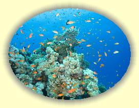 20100922_020 * 3072 x 2304 * (3.02MB)