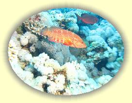 20100922_022 * 3072 x 2304 * (2.92MB)