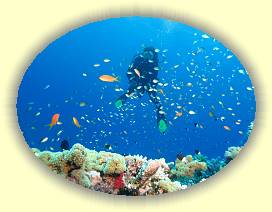 20100922_023 * 3072 x 2304 * (2.66MB)