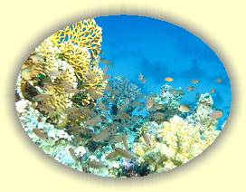 20100922_025 * 2505 x 1879 * (3.11MB)