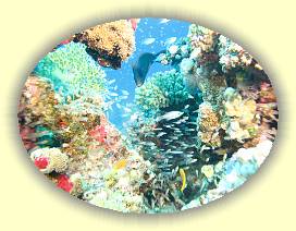 20100922_027 * 3072 x 2304 * (3.82MB)