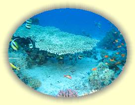 20100922_029 * 3072 x 2304 * (3.18MB)