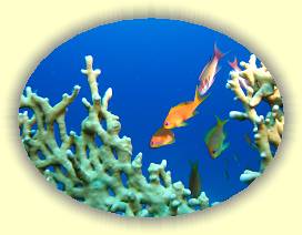 20100922_031 * 3072 x 2304 * (2.31MB)