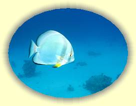 20100922_032 * 2192 x 1646 * (1.63MB)