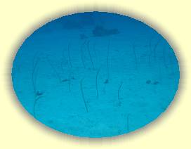 20100922_035 * 3072 x 2304 * (1.93MB)