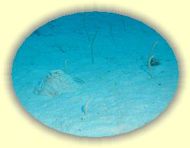 20100922_036 * 3072 x 2304 * (2.39MB)