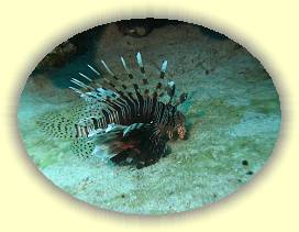 20100923_001 * 2713 x 2029 * (2.87MB)