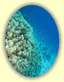 20100923_003 * 3072 x 2304 * (3.01MB)