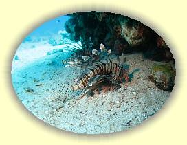 20100923_005 * 2799 x 2099 * (3.61MB)