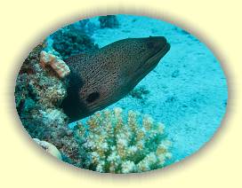 20100923_007 * 2138 x 1611 * (2.4MB)