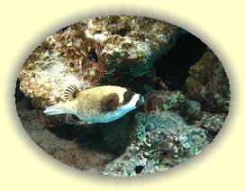 20100923_010 * 2282 x 1719 * (2.6MB)