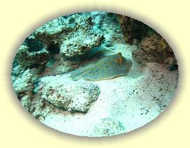 20100923_012 * 3072 x 2304 * (3.53MB)