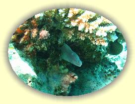 20100923_013 * 2336 x 1751 * (2.79MB)