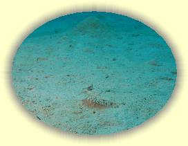 20100923_017 * 2055 x 1540 * (2.13MB)