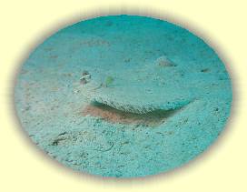 20100923_018 * 2221 x 1658 * (2.45MB)