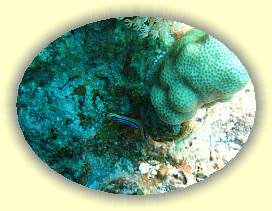 20100923_021 * 2055 x 1540 * (2.15MB)