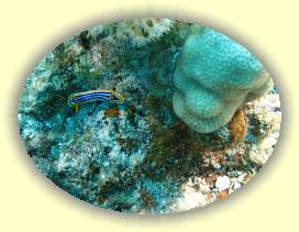 20100923_022 * 1726 x 1291 * (1.52MB)