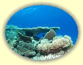 20100923_024 * 2719 x 2039 * (3.79MB)