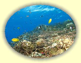 20100923_026 * 3072 x 2304 * (3.43MB)