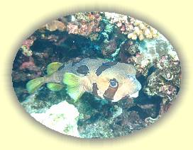 20100923_027 * 1951 x 1466 * (2.13MB)