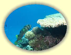 20100923_030 * 2173 x 1625 * (2.12MB)