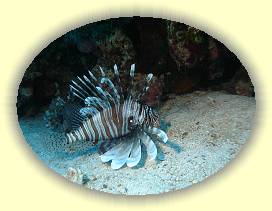 20100923_034 * 2595 x 1943 * (3.24MB)