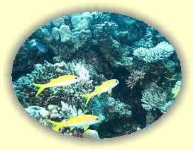 20100923_035 * 3072 x 2304 * (3.32MB)