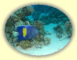 20100923_036 * 2371 x 1780 * (2.79MB)