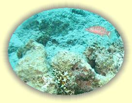 20100923_038 * 1604 x 1205 * (1.53MB)