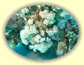 20100923_039 * 3072 x 2304 * (3.5MB)