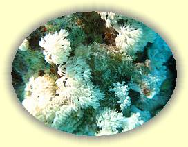 20100923_040 * 3072 x 2304 * (3.24MB)