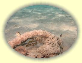 20100925_002 * 3072 x 2304 * (2.9MB)