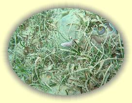 20100925_004 * 3072 x 2304 * (4.35MB)