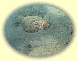 20100925_007 * 3072 x 2304 * (4.38MB)