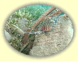 20100925_010 * 3072 x 2304 * (3.84MB)