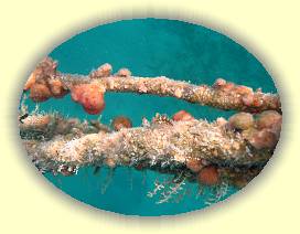 20100925_012 * 3072 x 2304 * (2.72MB)