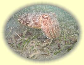 20100925_022 * 3072 x 2304 * (3.52MB)