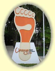 20111110_000 * 3072 x 2304 * (2.91MB)